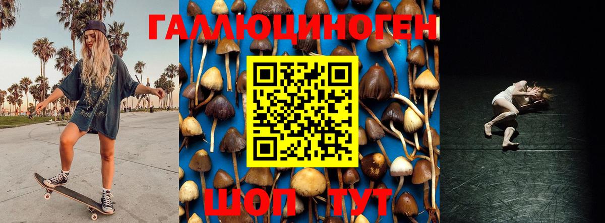 Алексеевка  Псилоцибиновые грибы мухоморы  Псилоцибиновые грибы Cubensis  Вход с VPN 